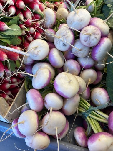 bottes de petits navets et radis nouveaux