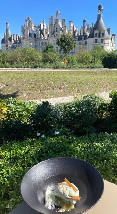 vue sur le château de Chambord